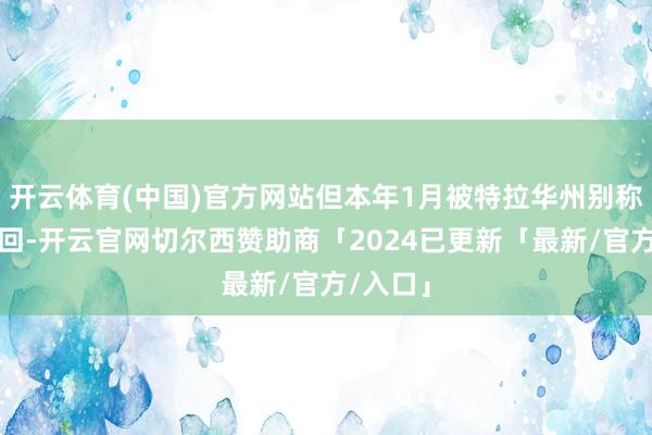 开云体育(中国)官方网站但本年1月被特拉华州别称法官驳回-开云官网切尔西赞助商「2024已更新「最新/官方/入口」
